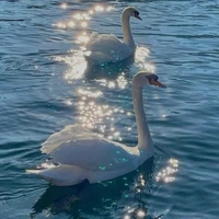 ✨Hội_HS_Chính.quyền ✨