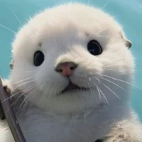 Quý ông người Hàn( Biu Biu🎀)