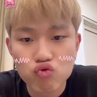 dương domic