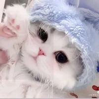 T/G cute