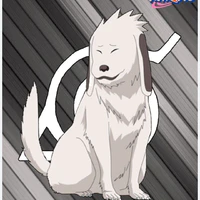 akamaru