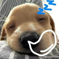 T/g cute🤡