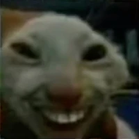 trà xanh 0 độ
