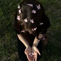 Fan (All)