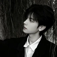 Hạ Vĩ Thanh