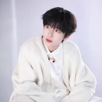 Nhiếp Vĩ Thần