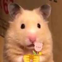 tác giả nè(◍•ᴗ•◍)