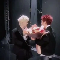 Myna vô tri ( t/g )