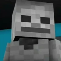 Skeleton (Skelly)