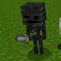 Wither(7 tuổi)