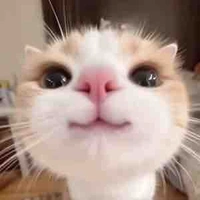 All