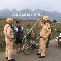 tác giả hay quỵt