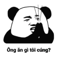 biệt đội báo thủ