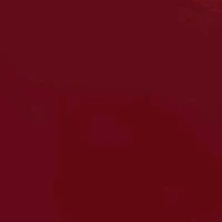 NPC của cửa máu