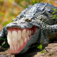 Tg ( hẹ hẹ hẹ)