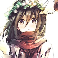 Mikasa