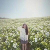 Meolinqq / tác giả