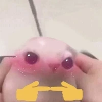 Hú a yòu