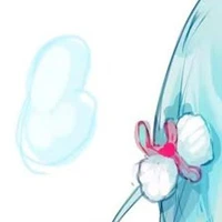 cân tất mọi nv (thật ra là con tg ko bt)