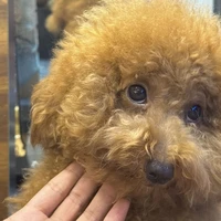 Huỳnh Thị Ngọc Dương