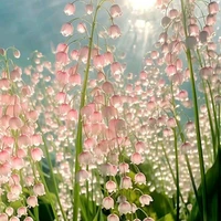 Coan T/G Đáng Yêu