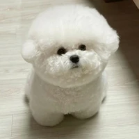 Tg kể chuyện