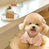 Hệ thống cute