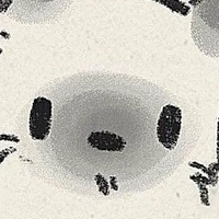 Nhìn giề!?