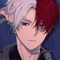 Todoroki Shoto