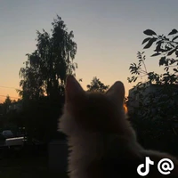 ᴄʜᴀɴʏᴢ