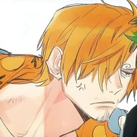 @V.Sanji