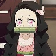 Kamado Nezuko