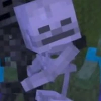 Skeleton