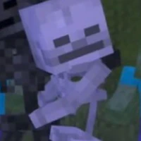 Skeleton