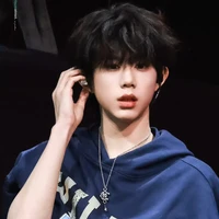 Trần Dịch Hằng_gã