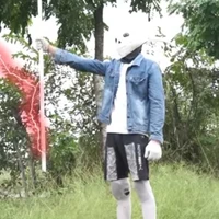 Lost sans