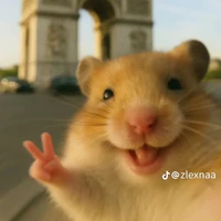 Tg cung khòn :>