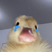 gọi tớ là ka(tgia)