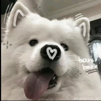 sầuriêng điều đáng ô