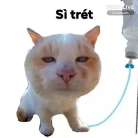 tác giả