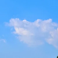 t/g