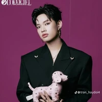 Nguyễn Thiện Pháp (pháp kiều)