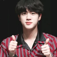 Kim Seokjin-Jinie