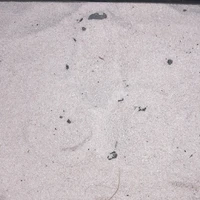 trước lạ sau quen