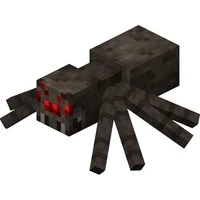 spider