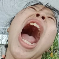 Mai Xe Tăng - Tác Giả