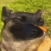 Chỉ huy đội [chill vl]