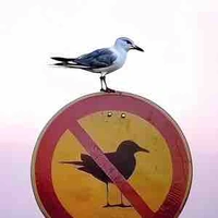 All
