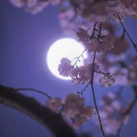 nv bí ẩn
