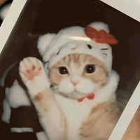 Kitty